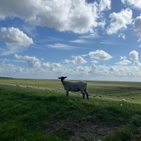 Emma & Mathilda - Auch Fuer Fellnasen